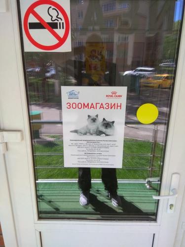 УФ печать на пленке фото 1