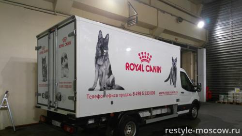 Реклама на автомобиле Royal Canin